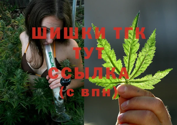 круглые Аркадак
