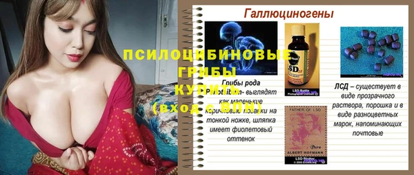 трава Белокуриха
