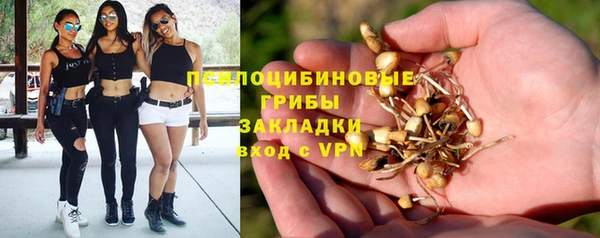 прущие крисы Семикаракорск