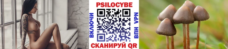 Псилоцибиновые грибы мицелий  Донецк 